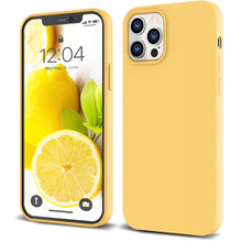 Load image into Gallery viewer, iPhone 12 & 12 Pro (2020) Silicone Case - 6.1" - IceSword